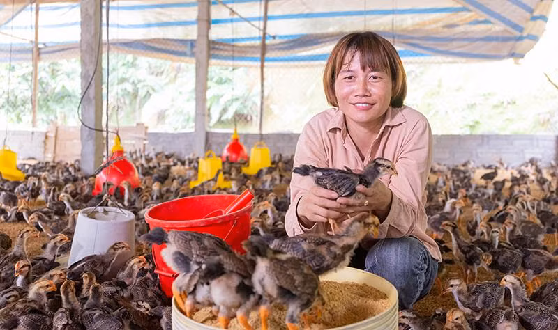 Phụ nữ trong Dự án R2E tại Yên Bái. (Ảnh: CARE quốc tế tại Việt Nam)