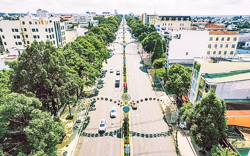 Đường Nguyễn Tất Thành, tuyến đường chính của thành phố với hai hàng cây xanh hàng chục năm tuổi.