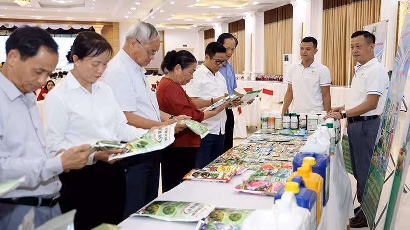 Các hộ dân, đại diện nhà vườn tham quan gian hàng trưng bày phân bón vi sinh.