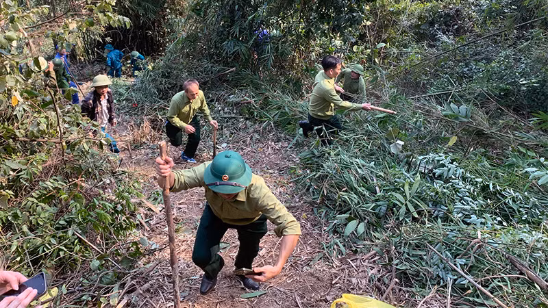 Gần 500 người được huy động chữa cháy rừng. Gần 500 người được huy động chữa cháy rừng.