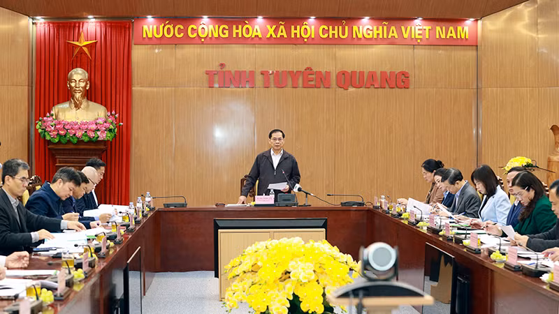 Phó Thủ tướng Chính phủ, Bộ trưởng Ngoại giao Bùi Thanh Sơn chủ trì buổi làm việc.