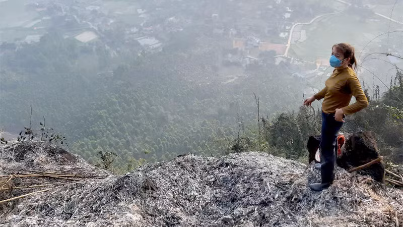 Đám cháy rừng tại núi Nghiêm, xã Hoàng Khai, huyện Yên Sơn, tỉnh Tuyên Quang đã được dập tắt.