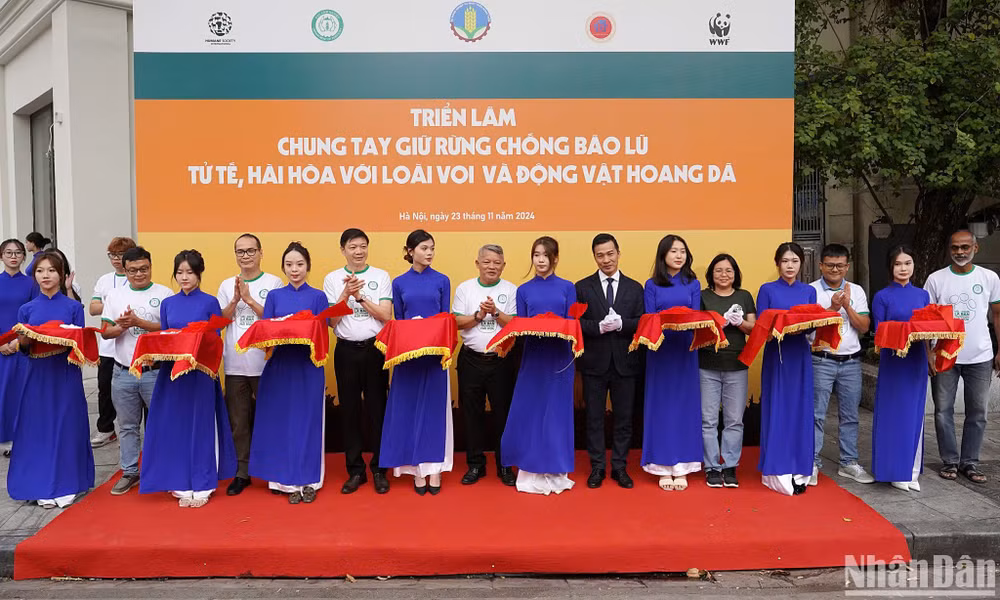 Cắt băng khai mạc Triển lãm chung tay giữ rừng chống bão lũ; tử tế, hài hòa với loài voi và động vật hoang dã. Cắt băng khai mạc Triển lãm chung tay giữ rừng chống bão lũ; tử tế, hài hòa với loài voi và động vật hoang dã.