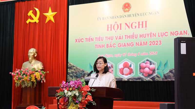 Bà Nguyễn Thị Thảo, Giám đốc hàng cấp cao chuỗi bán lẻ WCM chia sẻ tại Hội nghị.