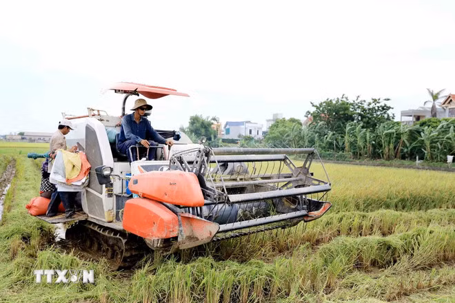 Việt Nam và Kenya nhất trí đa dạng hóa lĩnh vực hợp tác, đặc biệt trên các lĩnh vực mà hai bên có thế mạnh và tiềm năng như nông nghiệp, bảo tồn thiên nhiên... (Ảnh: Thế Duyệt/TTXVN) Việt Nam và Kenya nhất trí đa dạng hóa lĩnh vực hợp tác, đặc biệt trên các lĩnh vực mà hai bên có thế mạnh và tiềm năng như nông nghiệp, bảo tồn thiên nhiên... (Ảnh: Thế Duyệt/TTXVN)