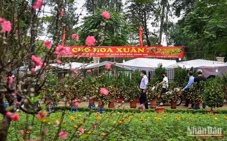 Một chợ hoa xuân tại Hà Nội. (Ảnh: THÀNH ĐẠT)