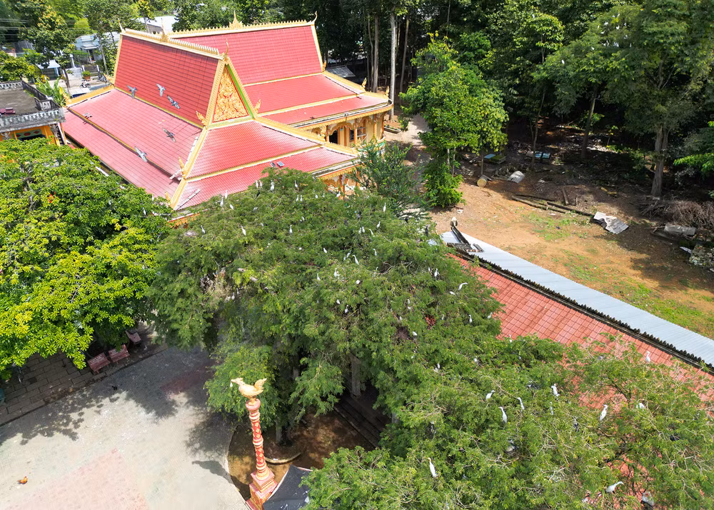 Chùa Hang không chỉ hấp dẫn du khách bởi vẻ đẹp cổ kính, mà còn bởi sự độc đáo của sân chim và những tác phẩm điêu khắc mỹ nghệ do chính những đôi bàn tay khéo léo, tài hoa của các vị sư nghệ nhân của nhà chùa kỳ công sáng tạo. Chùa Hang không chỉ hấp dẫn du khách bởi vẻ đẹp cổ kính, mà còn bởi sự độc đáo của sân chim và những tác phẩm điêu khắc mỹ nghệ do chính những đôi bàn tay khéo léo, tài hoa của các vị sư nghệ nhân của nhà chùa kỳ công sáng tạo.