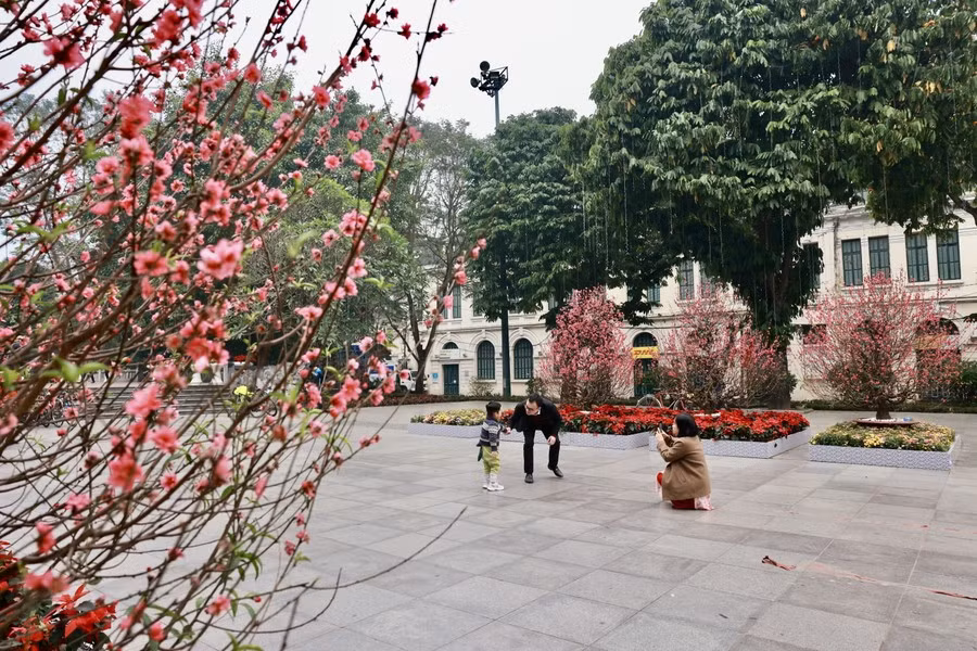 Nhiều gia đình xuất hành đầu năm và du xuân ngay từ sáng mùng 1 Tết. Ảnh: TTXVN