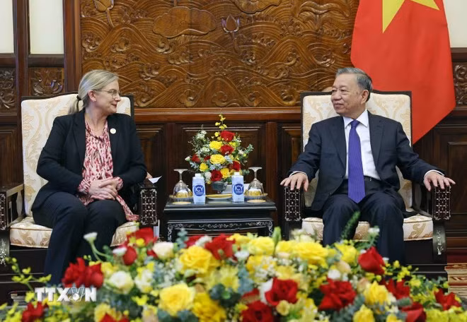 Chủ tịch nước Tô Lâm tiếp Đại sứ Thụy Điển Ann Mawe.