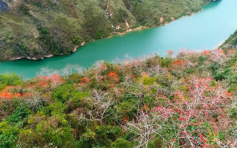 Sông Nho Quế (Hà Giang) mùa hoa gạo trong MV "Hương mộc miên" của Vũ Thắng Lợi.