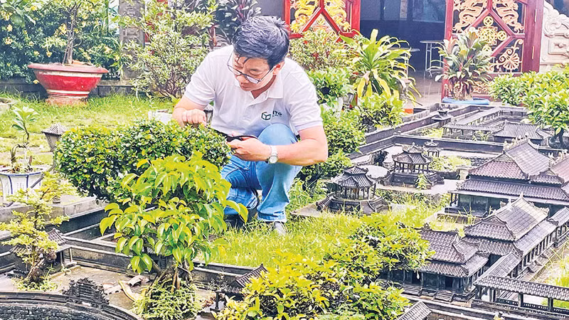 Anh Nguyễn Thanh Tùng chăm chút từng góc nhỏ trong công trình “Cố đô Huế thu nhỏ”.