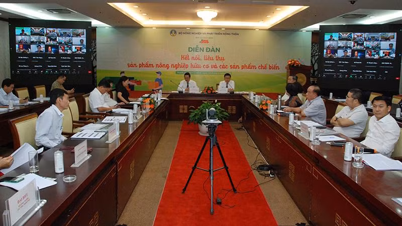 Quang cảnh diễn đàn.