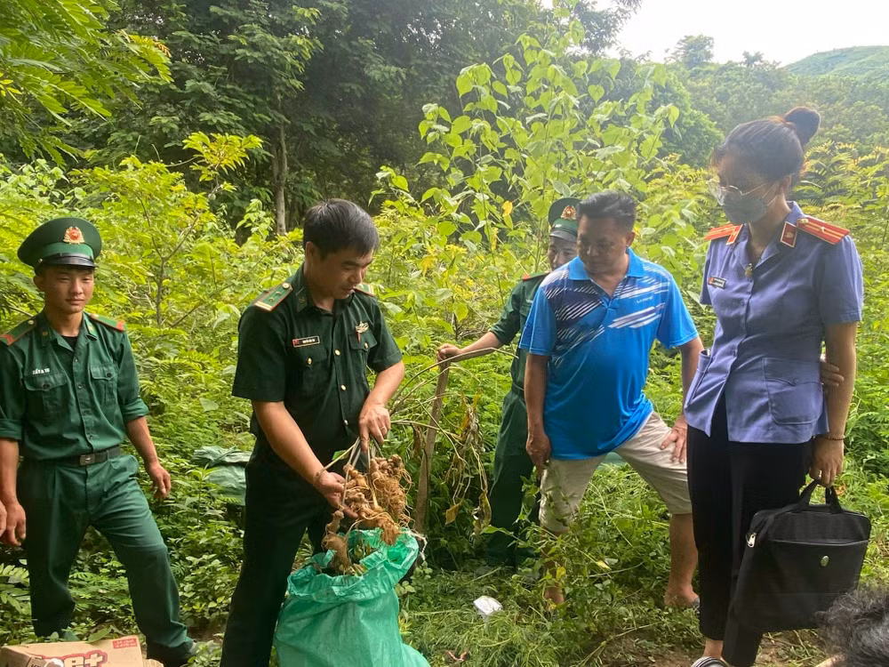 Cơ quan chức năng kiểm tra tang vật trước khi tiêu hủy.