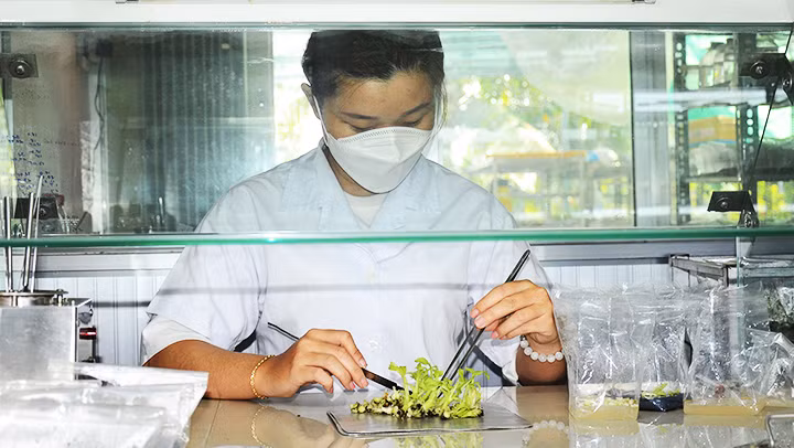 Cần có thêm các chính sách ưu đãi để sinh viên theo học ngành khoa học cơ bản. Ảnh: TTXVN