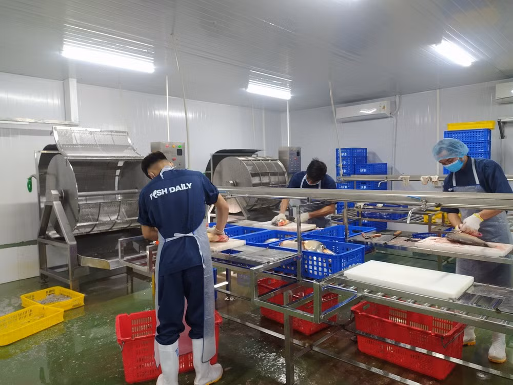 Quy trình sơ chế bảo đảm an toàn vệ sinh thực phẩm của hợp tác xã công nghệ cao Đại Áng.