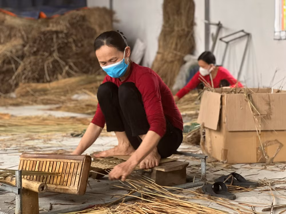 Dệt cói tại xã Nga Thanh, huyện Nga Sơn (Thanh Hoá) đem lại thu nhập ổn định cho người dân địa phương Dệt cói tại xã Nga Thanh, huyện Nga Sơn (Thanh Hoá) đem lại thu nhập ổn định cho người dân địa phương