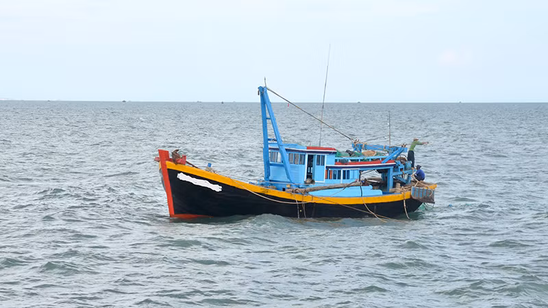 Ảnh minh họa.