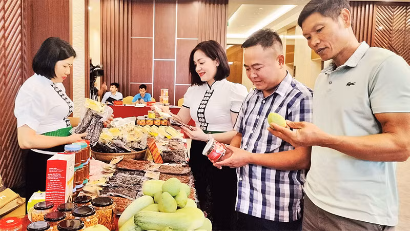 Giới thiệu sản phẩm OCOP tỉnh Sơn La đến khách hàng. 