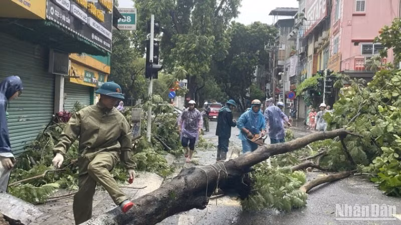 Người dân khắc phục hậu quả sau trận mưa lớn khiến cây cối trên đường phố bị gãy đổ.