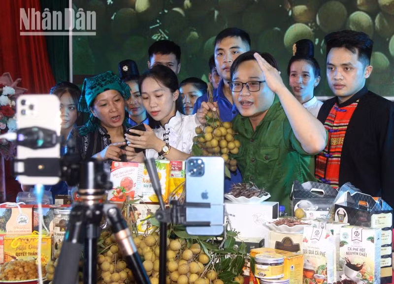Livestream bán hàng trực tiếp sản phẩm OCOP của thanh niên, nông sản, đặc sản của tỉnh Sơn La trên nền tảng TikTok.