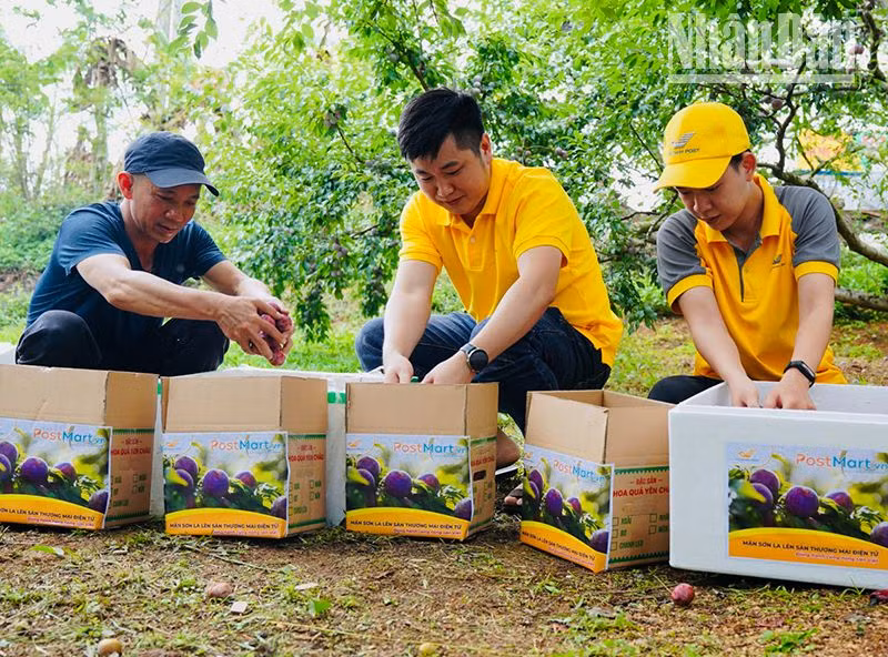 Nông dân huyện Yên Châu được hướng dẫn cách đóng gói sản phẩm giao dịch qua sàn thương mại điện tử Portmart. Nông dân huyện Yên Châu được hướng dẫn cách đóng gói sản phẩm giao dịch qua sàn thương mại điện tử Portmart.