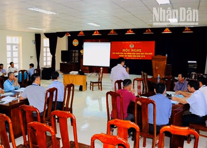 Tổ chức tập huấn về sàn thương mại điện tử cho nông dân trên địa bàn tỉnh Sơn La. Tổ chức tập huấn về sàn thương mại điện tử cho nông dân trên địa bàn tỉnh Sơn La.