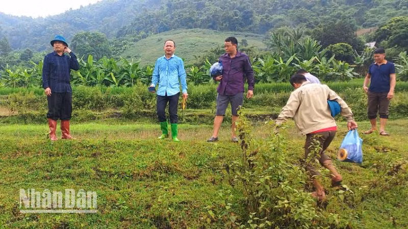 Kiểm tra, đánh giá tình hình sạt lở tại bản Nà Mện, xã Nậm Ty, huyện Sông Mã. (Ảnh: LÒ HÀ)