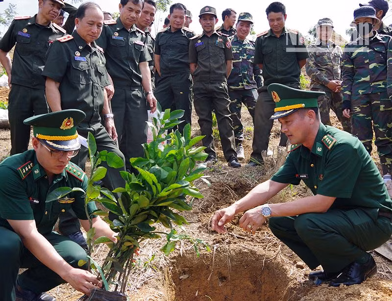 Bộ đội Biên phòng tỉnh Sơn La hướng dẫn cách trồng và chăm sóc cây cho cán bộ, chiến sĩ Tiểu đoàn 163, Bộ Chỉ huy Quân tỉnh Houaphanh, nước bạn Lào.