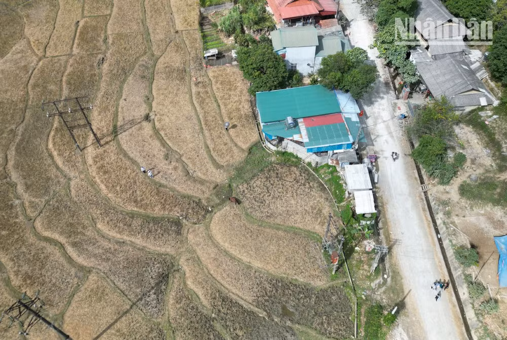 Khu vực đất xây dựng dự án cửa hàng xăng dầu là đất ruộng hai vụ chưa được chuyển đổi.