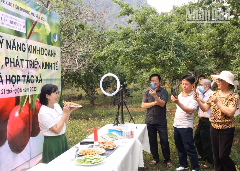 Các doanh nghiệp, hợp tác xã, hộ kinh doanh thực hành kỹ năng livestream bán hàng trên nền tảng số.