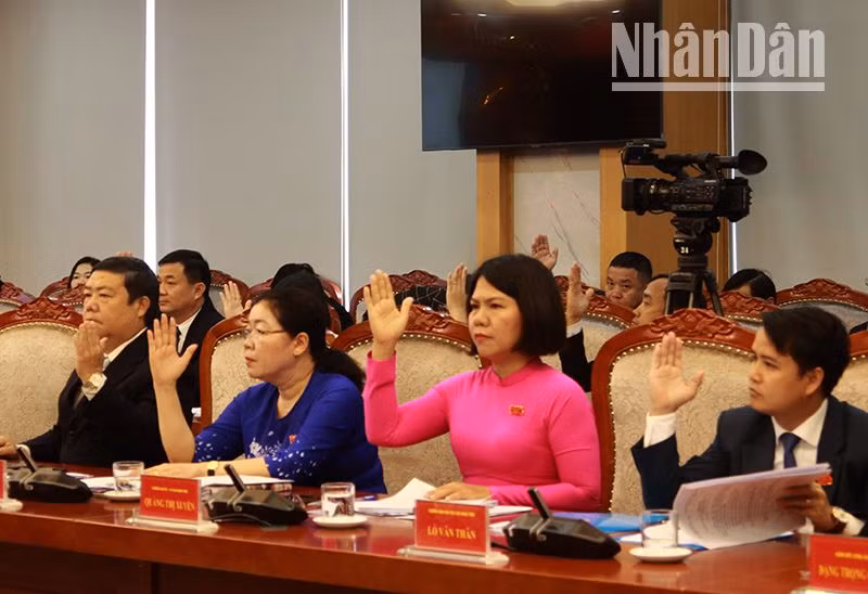 Các đại biểu tham gia biểu quyết các nội dung trình tại kỳ họp chuyên đề lần thứ 25 Hội đồng nhân dân tỉnh Sơn La khóa XV, nhiệm kỳ 2021-2026.