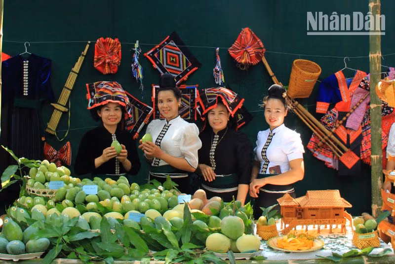 Ngày hội xoài Yên Châu, Sơn La được tổ chức từ năm 2017.