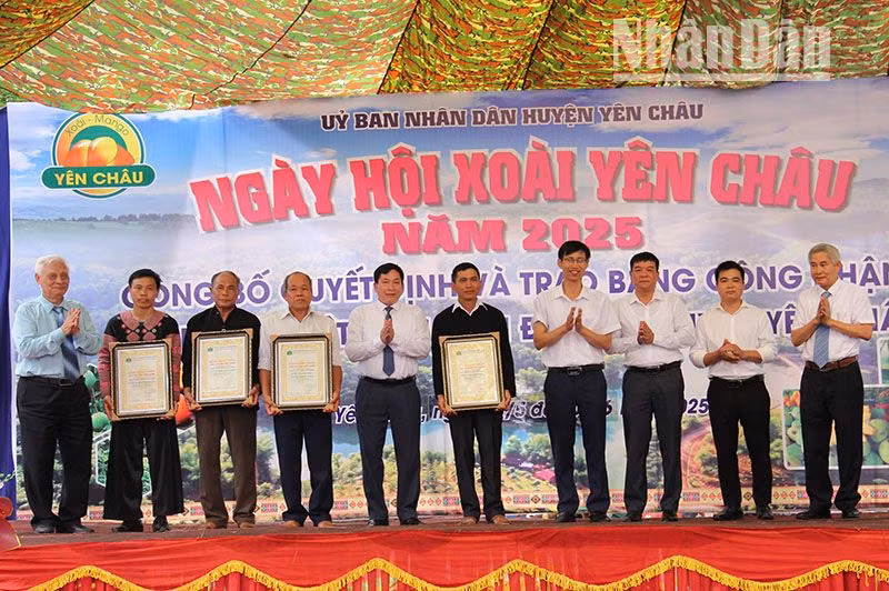 Trao Bằng công nhận các cây di sản Việt Nam cho các bản thuộc các xã của huyện Yên Châu. Trao Bằng công nhận các cây di sản Việt Nam cho các bản thuộc các xã của huyện Yên Châu.