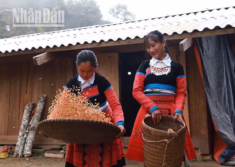 Tại các bản vùng cao của Sơn La, đồng bào H'Mông đã yên tâm lao động, sản xuất, không còn nghe theo lời kẻ xấu như trước.