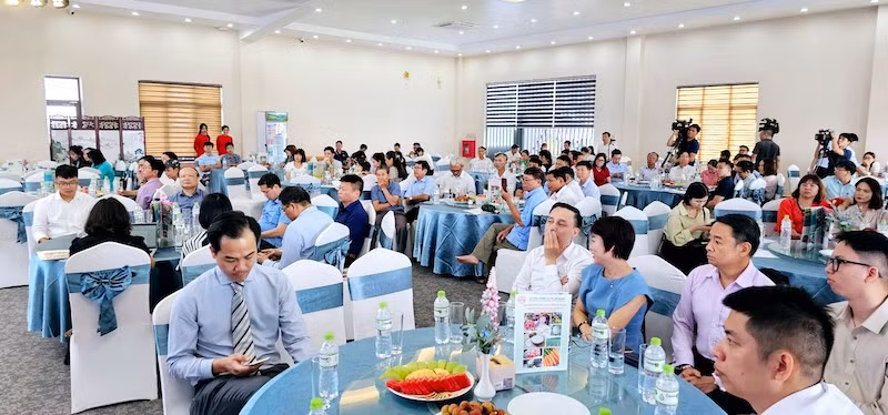 Các đại biểu tham dự hội nghị. Các đại biểu tham dự hội nghị.