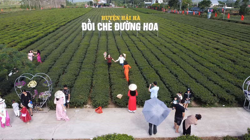 Ban tổ chức Lễ hội đã bố trí nhiều khu vực dành cho du khách chụp ảnh lưu niệm khi đến với Lễ hội. Ban tổ chức Lễ hội đã bố trí nhiều khu vực dành cho du khách chụp ảnh lưu niệm khi đến với Lễ hội.