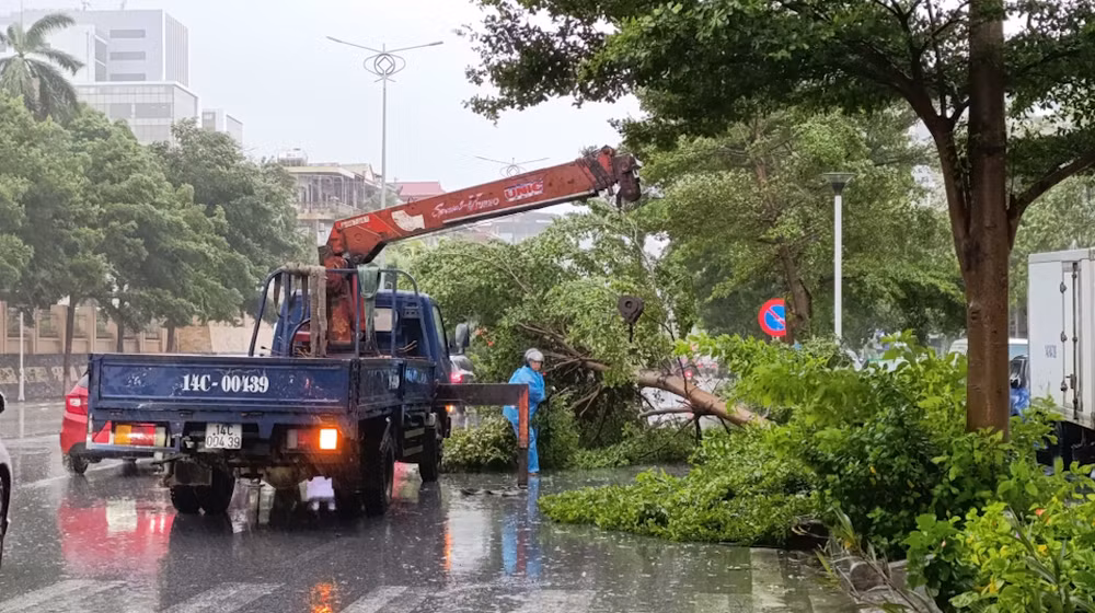 Thành phố Hạ Long huy động tối đa phương tiện, thiết bị để nhanh chóng khắc phục hậu quả do bão số 2 gây ra.