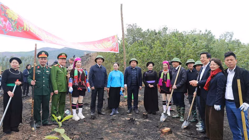 Các đồng chí lãnh đạo tỉnh Quảng Ninh cùng với nhân dân huyện Tiên Yên tham gia Tết trồng cây "Đời đời nhớ ơn Bác Hồ". Các đồng chí lãnh đạo tỉnh Quảng Ninh cùng với nhân dân huyện Tiên Yên tham gia Tết trồng cây "Đời đời nhớ ơn Bác Hồ".