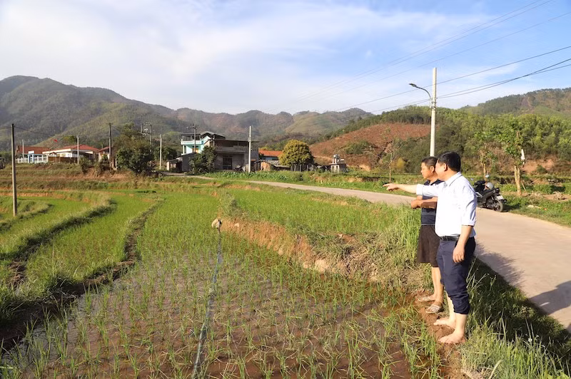Lãnh đạo xã Đồng Tâm hướng dẫn người dân thực hiện các biện pháp tưới tiêu tiết kiệm và sử dụng hiệu quả nguồn nước hiện có. Lãnh đạo xã Đồng Tâm hướng dẫn người dân thực hiện các biện pháp tưới tiêu tiết kiệm và sử dụng hiệu quả nguồn nước hiện có.