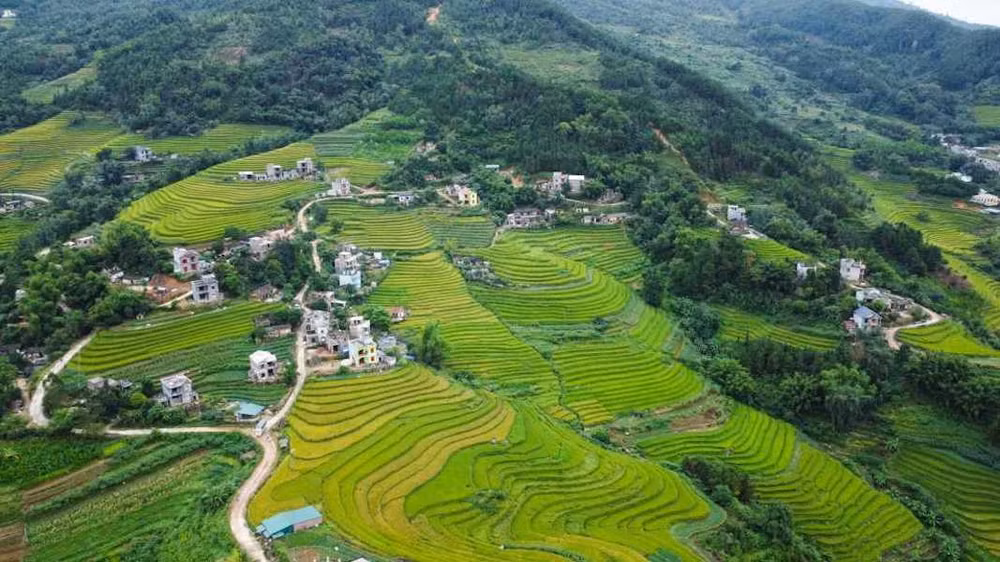 Diện mạo nông thôn của huyện miền núi biên giới, dân tộc Bình Liêu ngày càng đổi thay toàn diện. Diện mạo nông thôn của huyện miền núi biên giới, dân tộc Bình Liêu ngày càng đổi thay toàn diện.