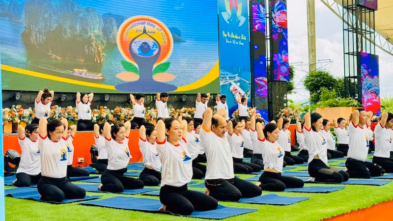 Các Yogi thực hiện thao thức. Các Yogi thực hiện thao thức.