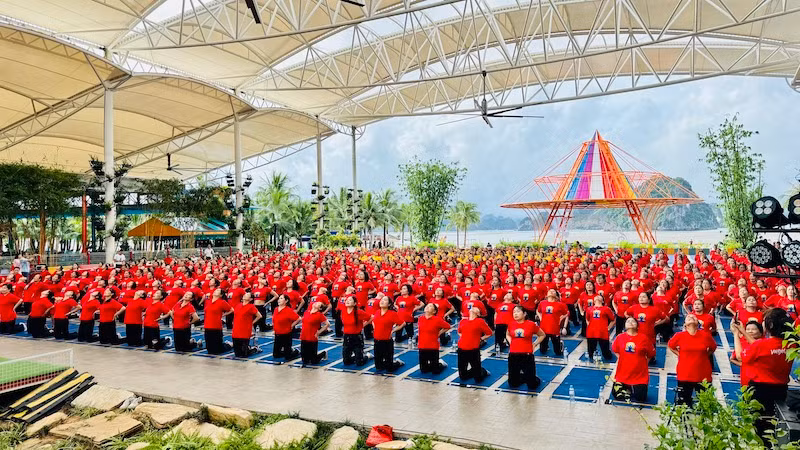 Các Yogi thực hiện thao thức. Các Yogi thực hiện thao thức.