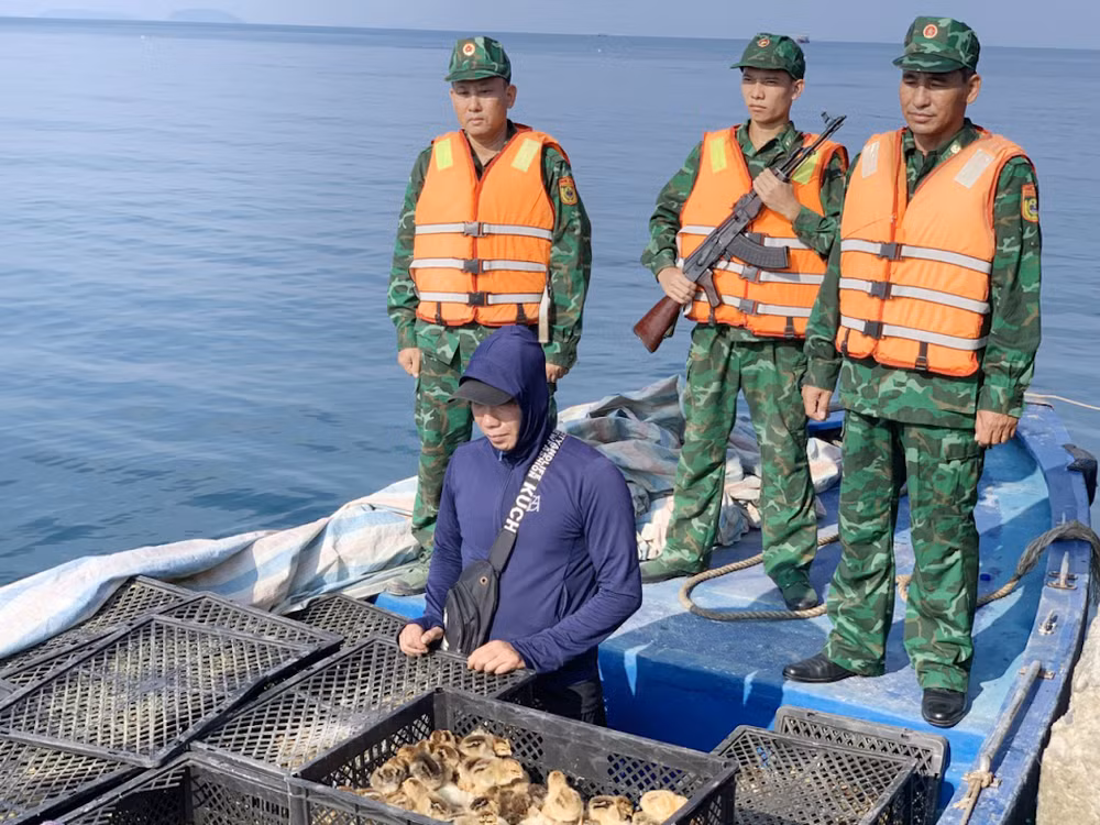 Phương tiện cùng người và tang vật bị Bộ đội Biên phòng bắt giữ.