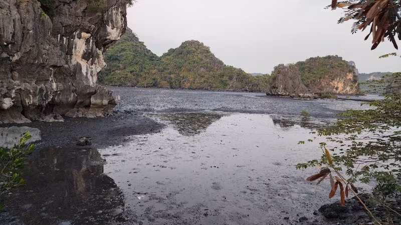 Hiện trạng triển khai dự án nằm ở khu vực hạ lưu suối Lộ Phong thường xuyên bị ứ đọng bùn đất, gây mất mỹ quan khu vực giáp ranh Vịnh Bái Tử Long và Vịnh Hạ Long. Hiện trạng triển khai dự án nằm ở khu vực hạ lưu suối Lộ Phong thường xuyên bị ứ đọng bùn đất, gây mất mỹ quan khu vực giáp ranh Vịnh Bái Tử Long và Vịnh Hạ Long.