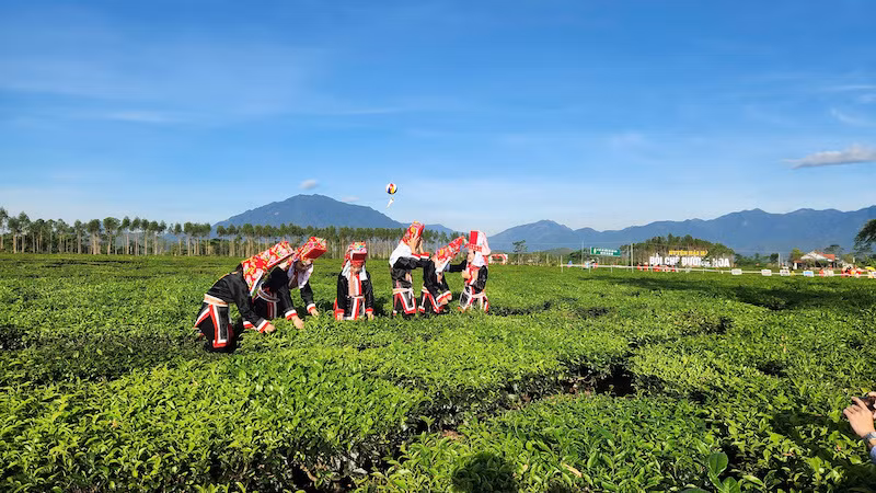 Những đồi chè xanh mướt luôn là điểm check-in của đông đảo du khách. Những đồi chè xanh mướt luôn là điểm check-in của đông đảo du khách.