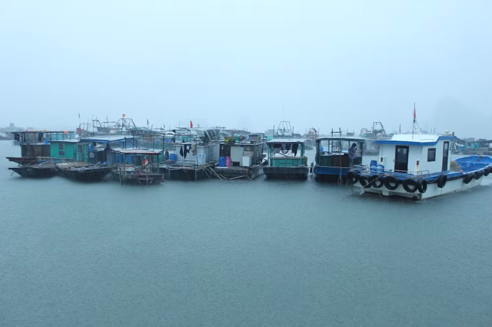 Các tàu đánh cá của huyện Vân Đồn đã về bờ tránh trú an toàn. Các tàu đánh cá của huyện Vân Đồn đã về bờ tránh trú an toàn.