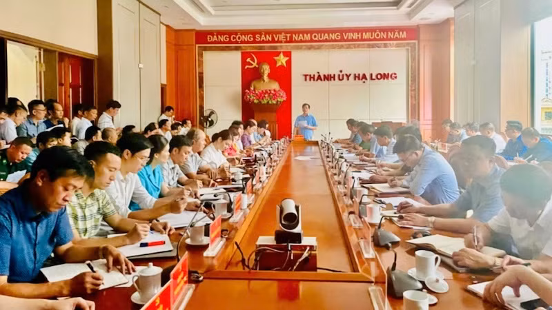 Thành phố Hạ Long phát động chiến dịch cao điểm khắc phục bão số 3 ngay trong sáng 9/9.