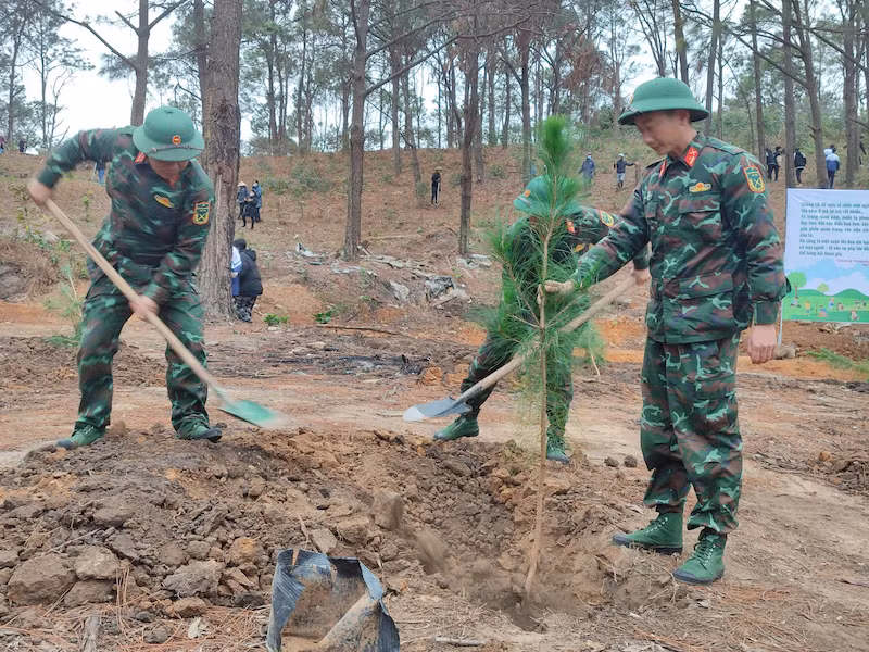 Các lực lượng tham gia trồng cây sau lễ phát động. Các lực lượng tham gia trồng cây sau lễ phát động.