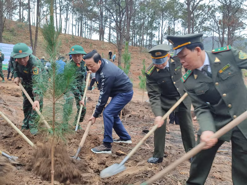 Phó Thủ tướng Chính phủ Trần Hồng Hà tham gia trồng cây hưởng ứng “Tết trồng cây đời đời nhớ ơn Bác Hồ” Xuân Ất Tỵ 2025. Phó Thủ tướng Chính phủ Trần Hồng Hà tham gia trồng cây hưởng ứng “Tết trồng cây đời đời nhớ ơn Bác Hồ” Xuân Ất Tỵ 2025.