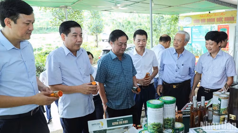 Nhờ chuyển đổi số, sản phẩm sâm nam Núi Dành của huyện Tân Yên đã vươn nhanh ra thị trường thế giới, được lãnh đạo Bộ Nông nghiệp và Phát triển Nông thôn và tỉnh Bắc Giang đánh giá cao. Nhờ chuyển đổi số, sản phẩm sâm nam Núi Dành của huyện Tân Yên đã vươn nhanh ra thị trường thế giới, được lãnh đạo Bộ Nông nghiệp và Phát triển Nông thôn và tỉnh Bắc Giang đánh giá cao.